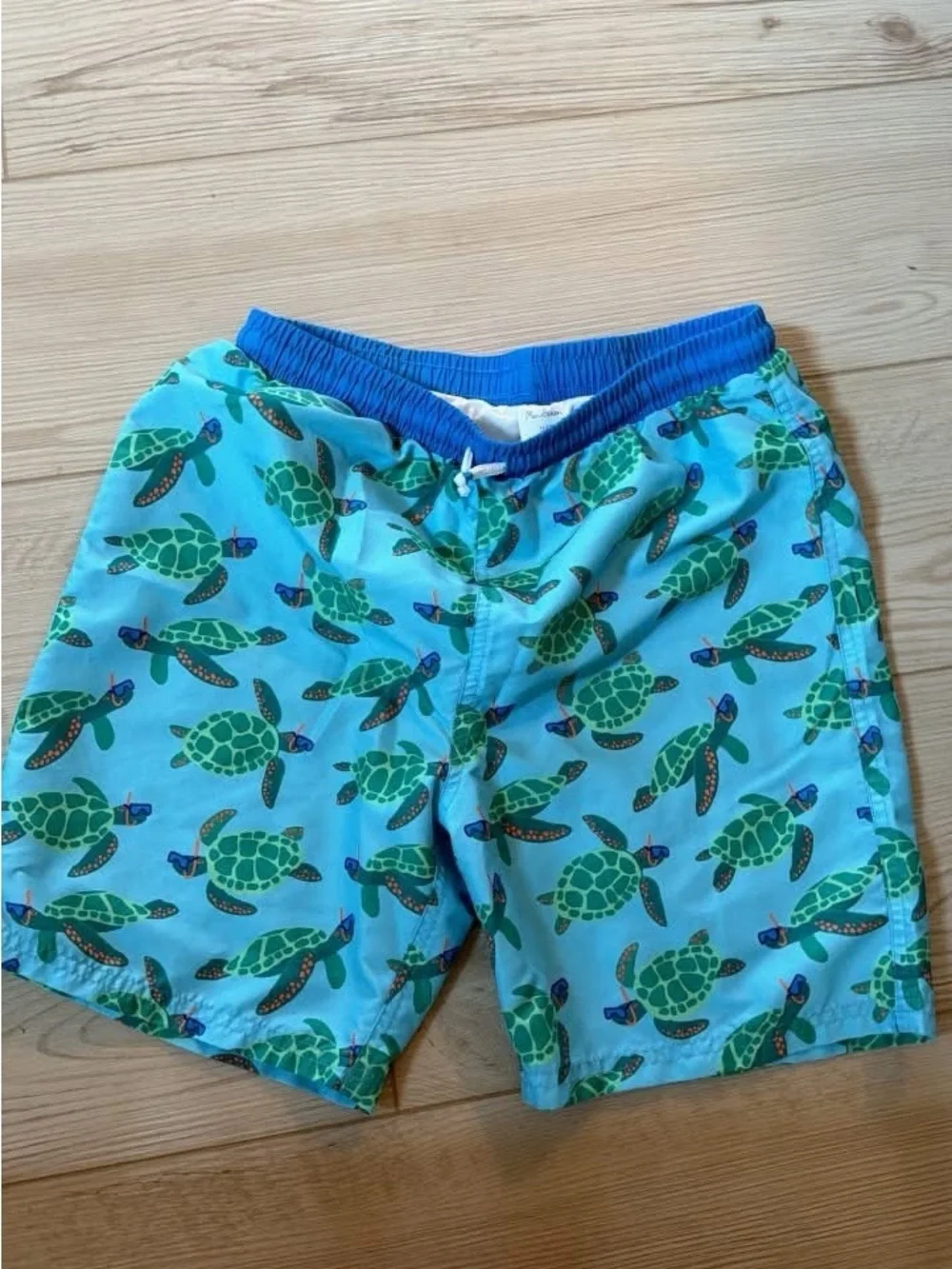 Mini Boden Light Blue Swim Trunks with Green Sea Turtle Print